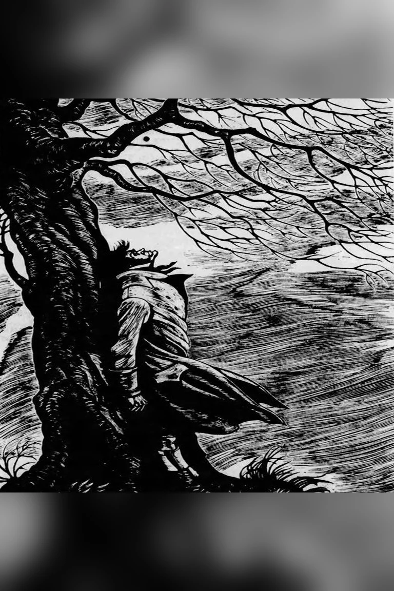 Wuthering Heights book cover
